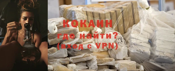 амф Щигры