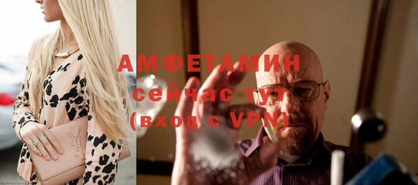 твердый Ельня