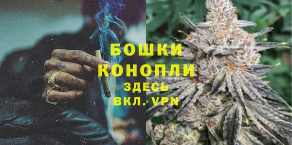 дживик Щучье