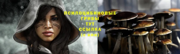 таблы Елизово