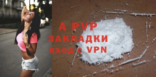 твердый Ельня