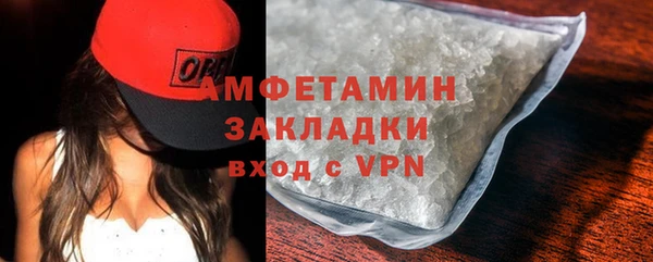 твердый Ельня